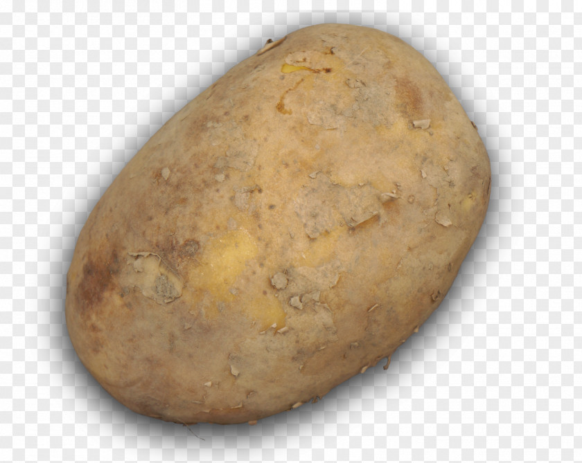 Potato Russet Burbank Yukon Gold PNG