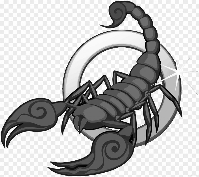 Scorpion Signs Of The Zodiac: Scorpio Astrological Sign Clip Art PNG
