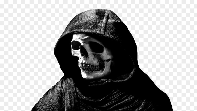 Skull Face Skeleton Death Drawing PNG