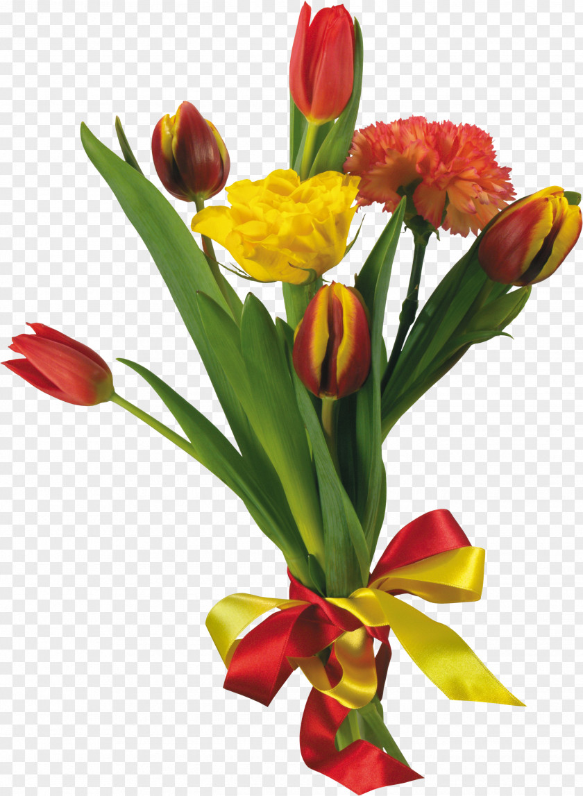 Tulip Flower Bouquet Saucer Clip Art PNG