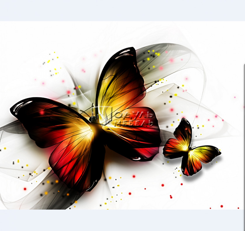 Watercolor Butterfly Stock Photography PNG