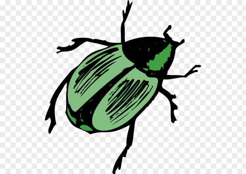Bug Volkswagen Beetle Clip Art PNG