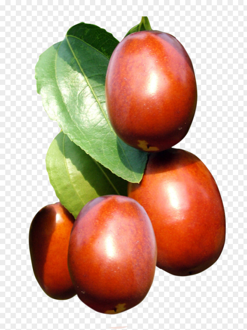 Good Texture Of Fresh Jujube Child Indian Fruit Tree Auglis PNG