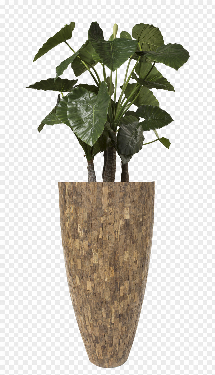 Hydrozorg Interieurbeplanting Flowerpot Vase Teak PNG