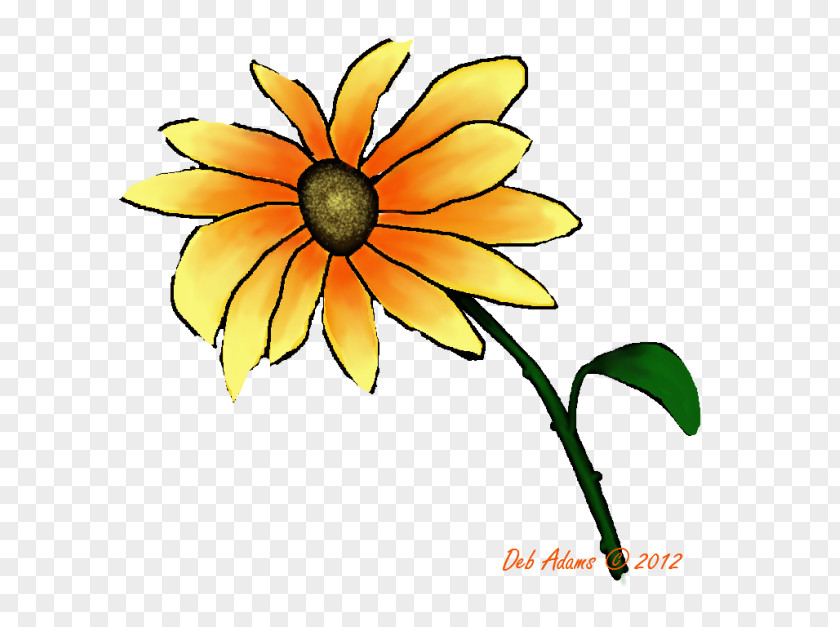 Sunflower Watercolor Common Daisy Family Cut Flowers Plant PNG
