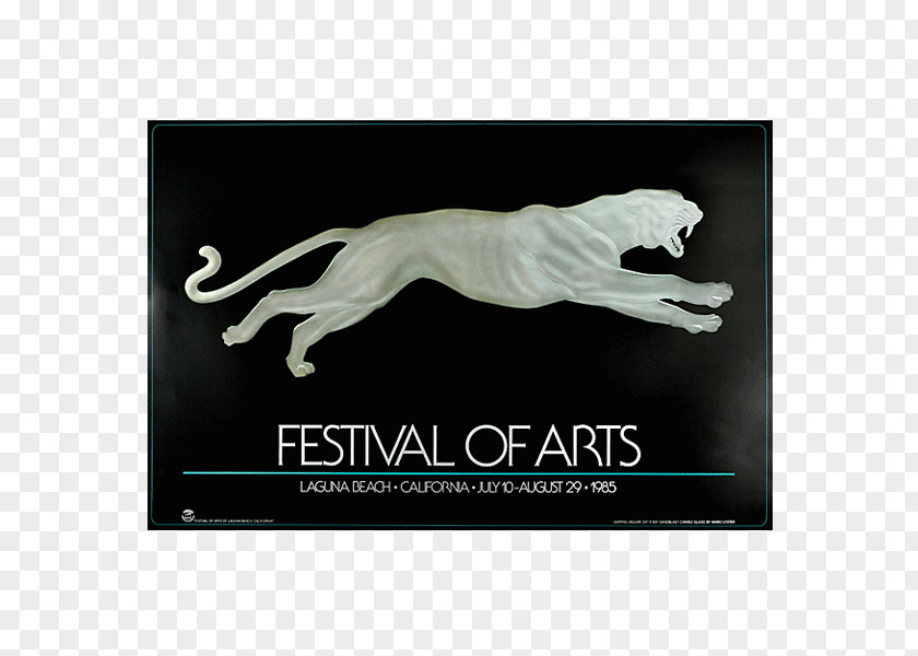 Festival Poster PNG