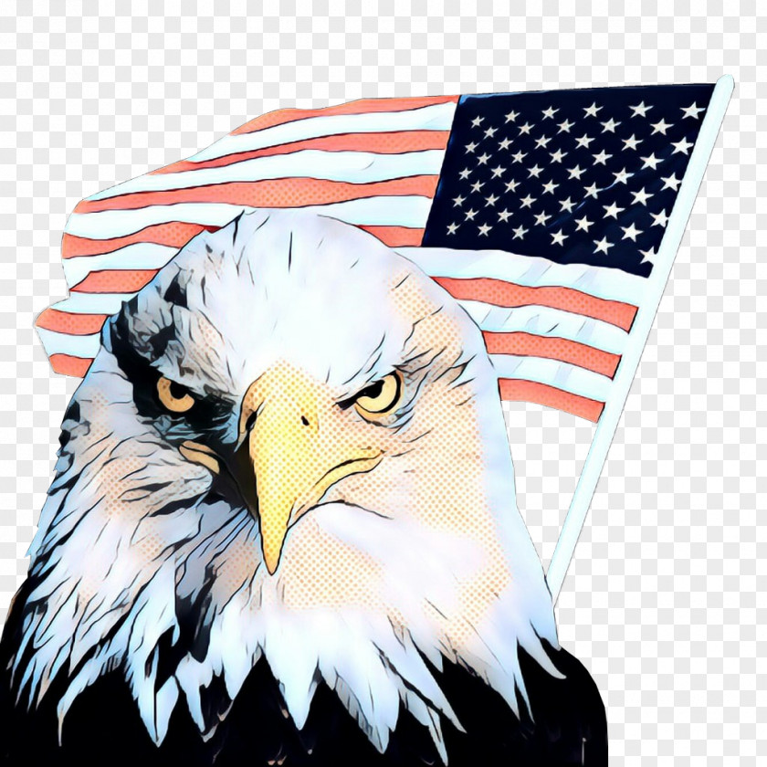 Flag Wildlife American Background PNG