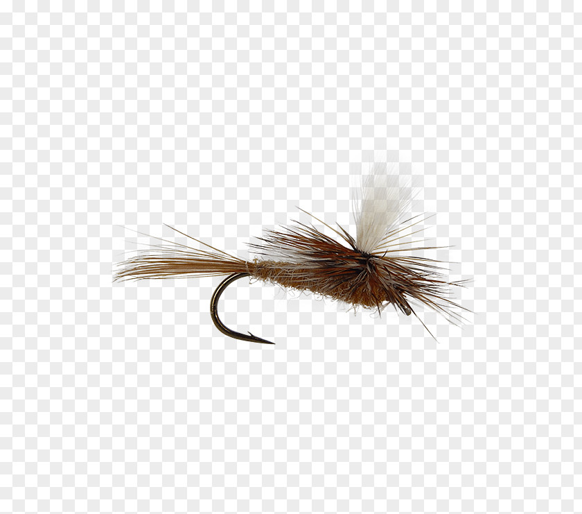 Fly Fishing Dry Flies Artificial Hare's Ear Insect PNG