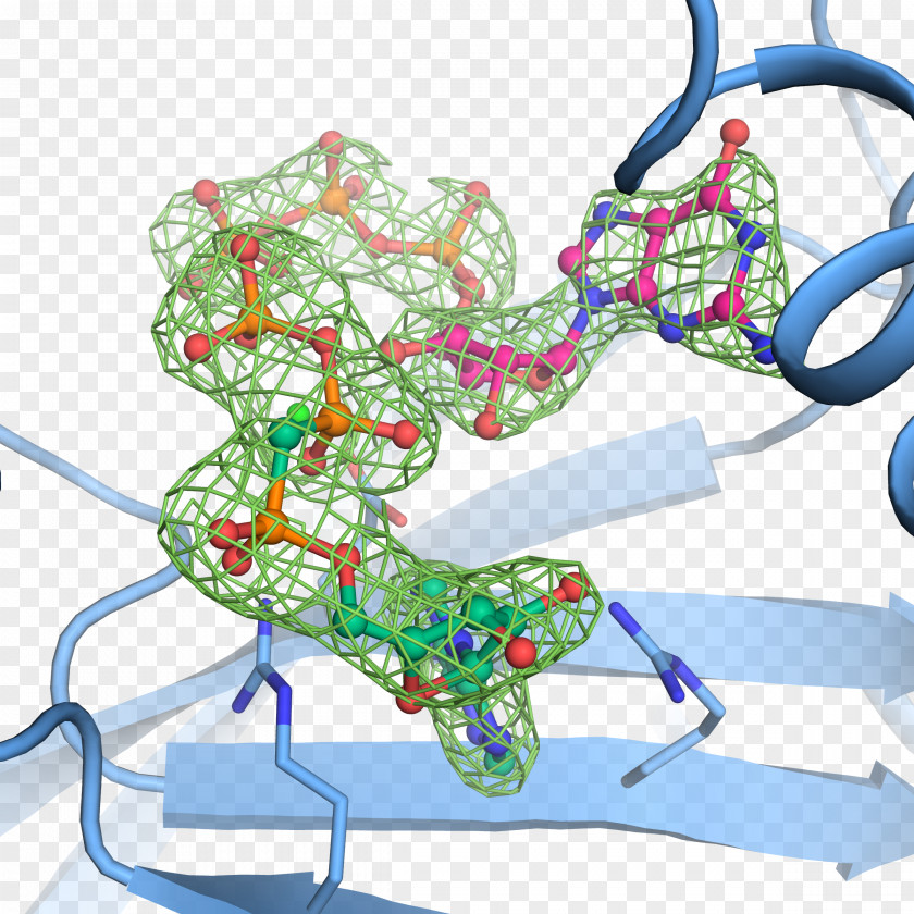Molecular Biology Guanosine Pentaphosphate Structural Genetics PNG
