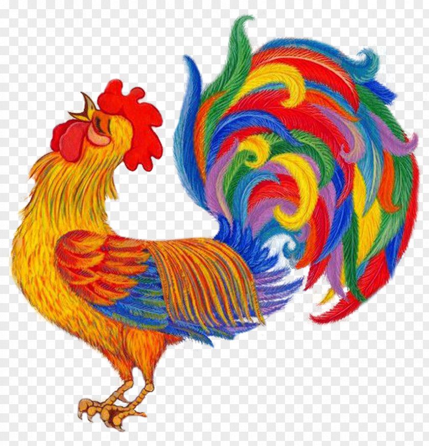 Chicken Rooster May Clip Art PNG