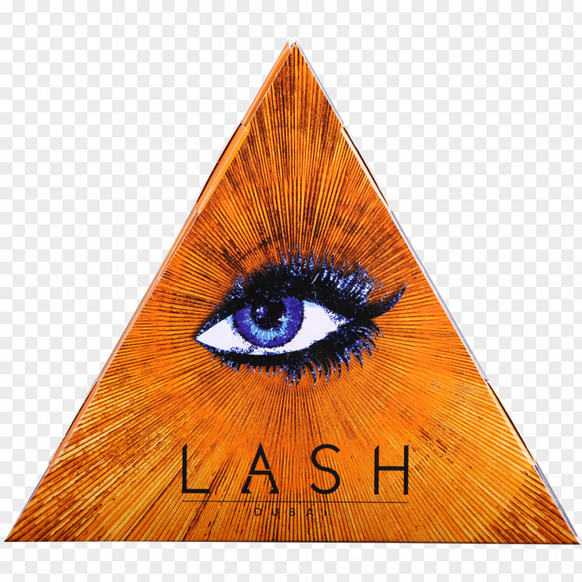 Lash Eyelash Hair Cosmetics Itsourtree.com PNG