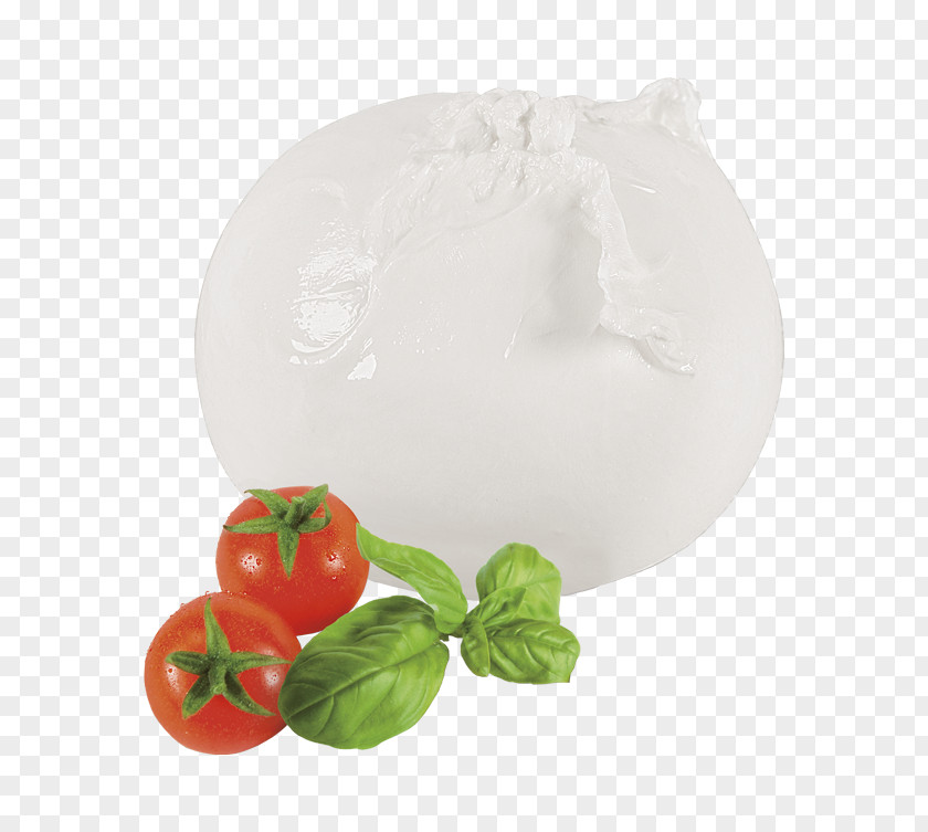 Muzzarella Buffalo Mozzarella Water Appellation D'origine Protégée Basil PNG