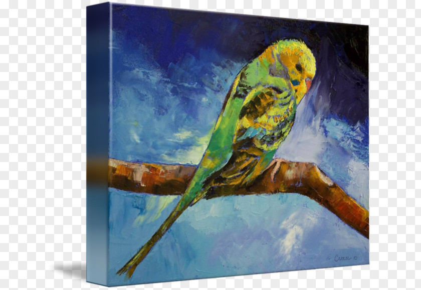 Painting Lovebird Macaw Parakeet Printing PNG