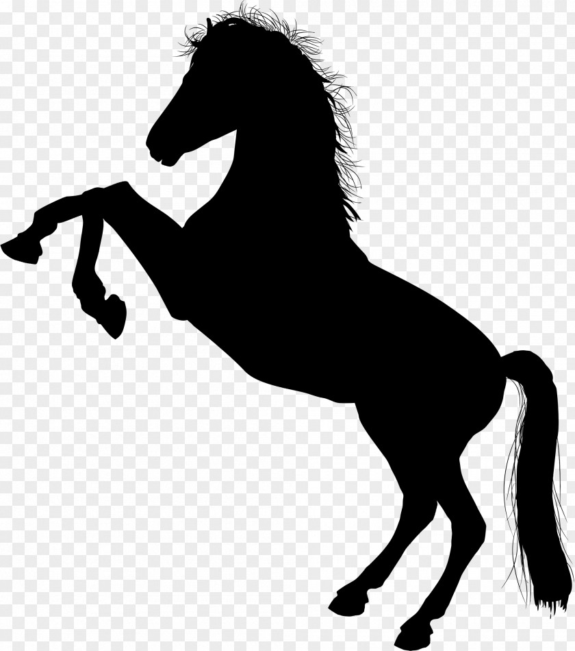 Pegasus Horse Unicorn Silhouette Clip Art PNG