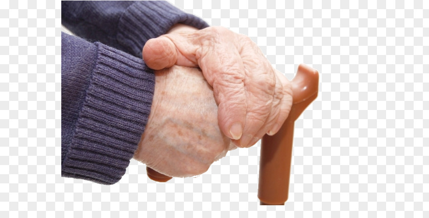Walking Stick Assistive Cane Hand PNG