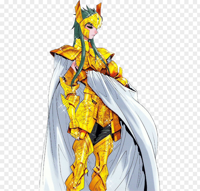 Camus Aquarius Shaka Pegasus Tenma Seiya Gemini Saga PNG