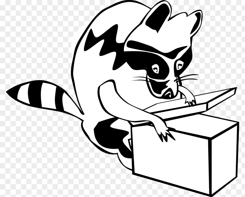 Cartoon Raccoon Pictures Squirrel Drawing Clip Art PNG