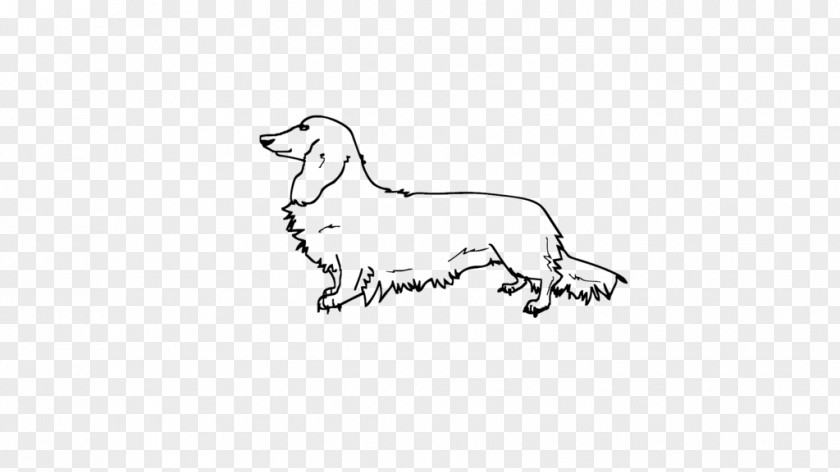 Long Hair Cat Dog Drawing Mammal PNG