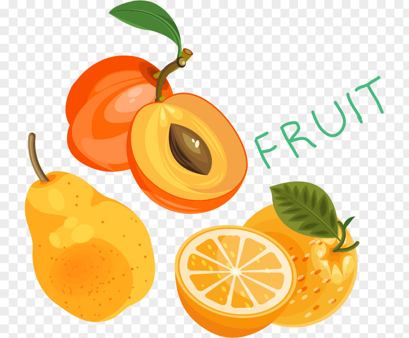 Oranges Apricot Pear Fruit Vector Material Clementine Mandarin Orange PNG