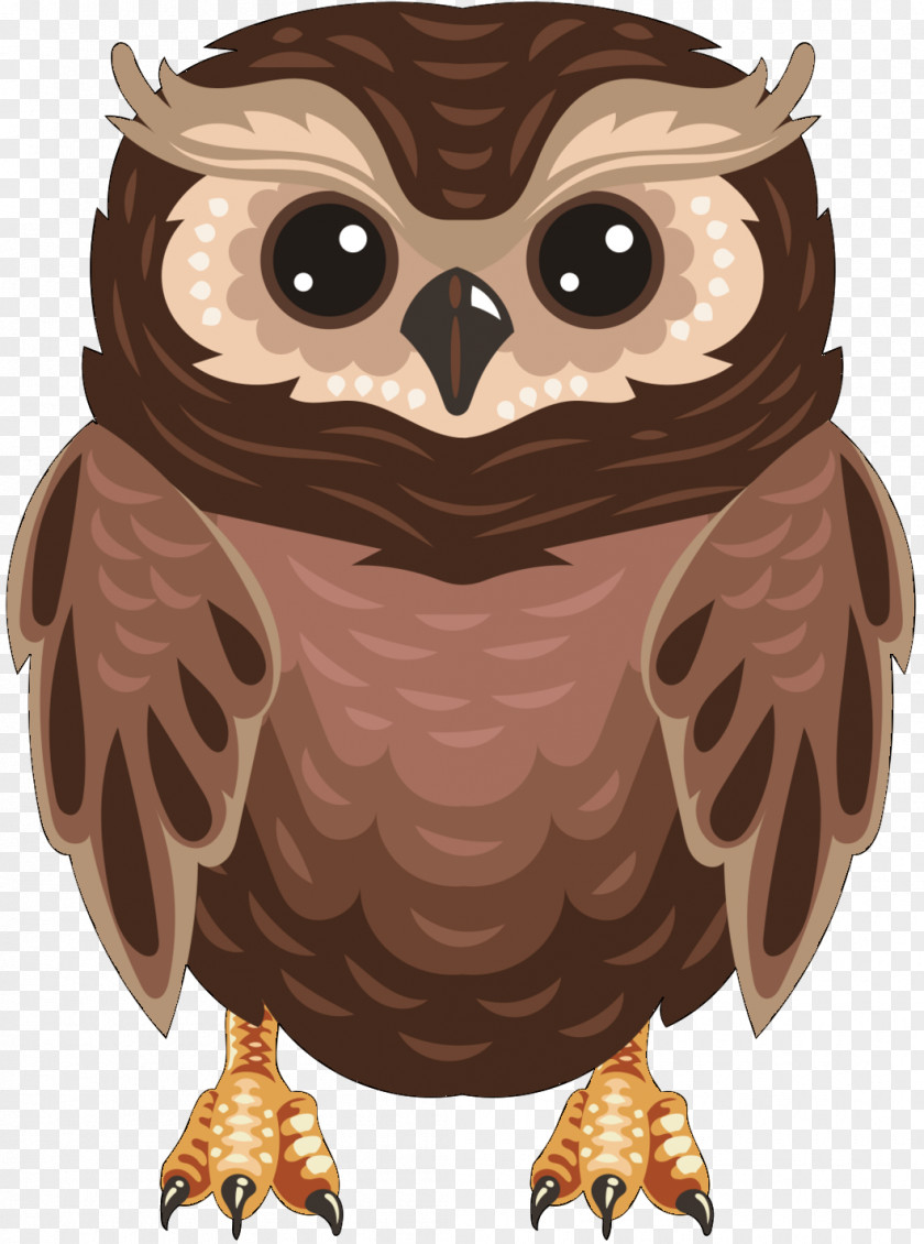 Owl Image Photograph Download PNG