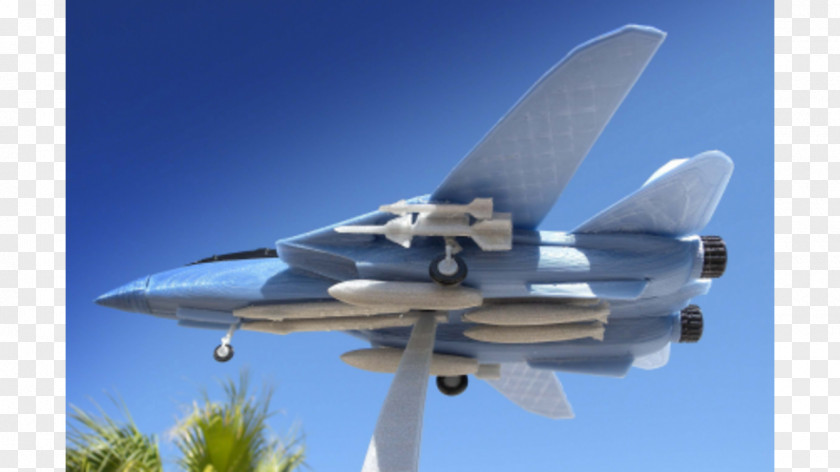 Supermarket Goods Grumman F-14 Tomcat Fighter Aircraft STL 3D Printing Ciljno Nalaganje PNG