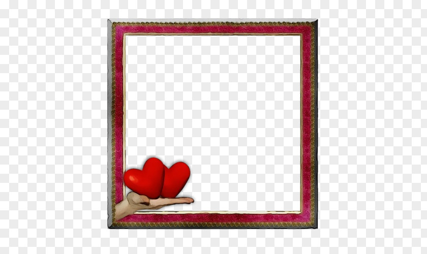 Tulip Petal Picture Frame PNG