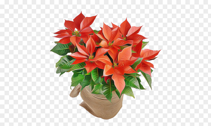 Bouquet Lily Flower Plant Poinsettia Red Flowerpot PNG