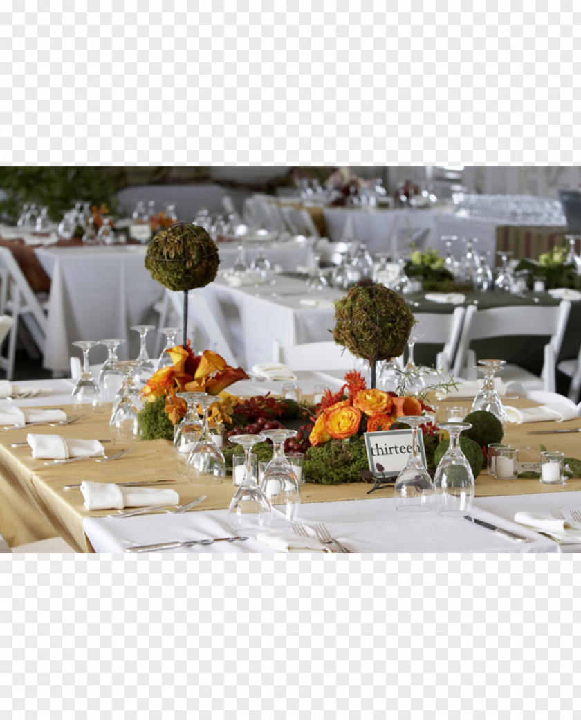 Dining Vis Template Event Management Stock Photography Business Corporation PNG