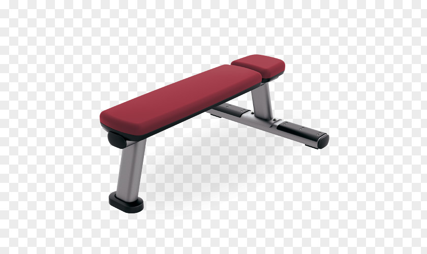 Dumbbell Bench Press Exercise Equipment Fitness Centre PNG