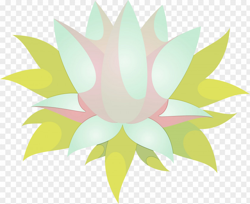 Floral Design PNG