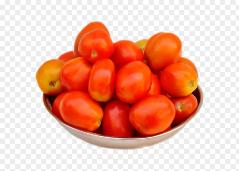 Tomato Plum Food Bush Vegetable PNG