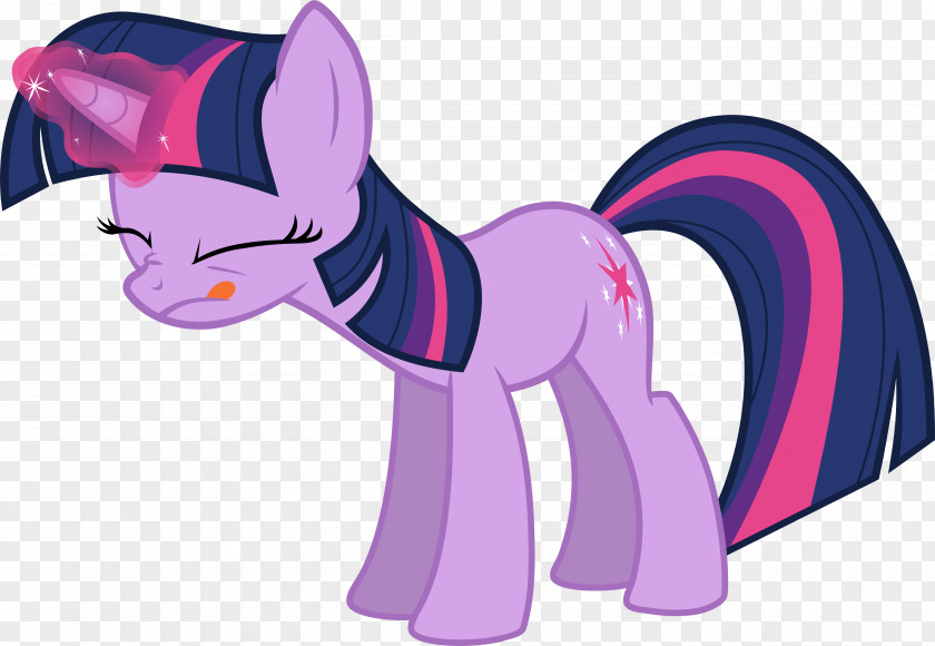 Twilight Sparkle Pinkie Pie My Little Pony Rarity PNG