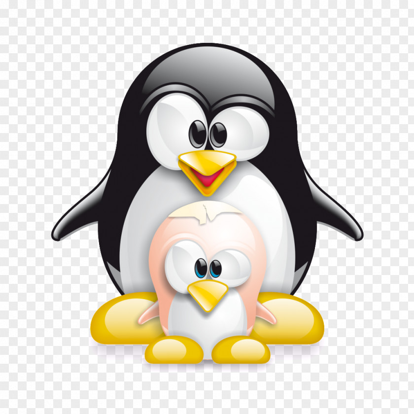 Vishnu Linux Kernel Computer Software Installation PNG