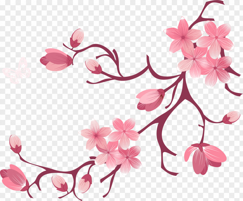 Cherry Blossom Flower Photography Clip Art PNG