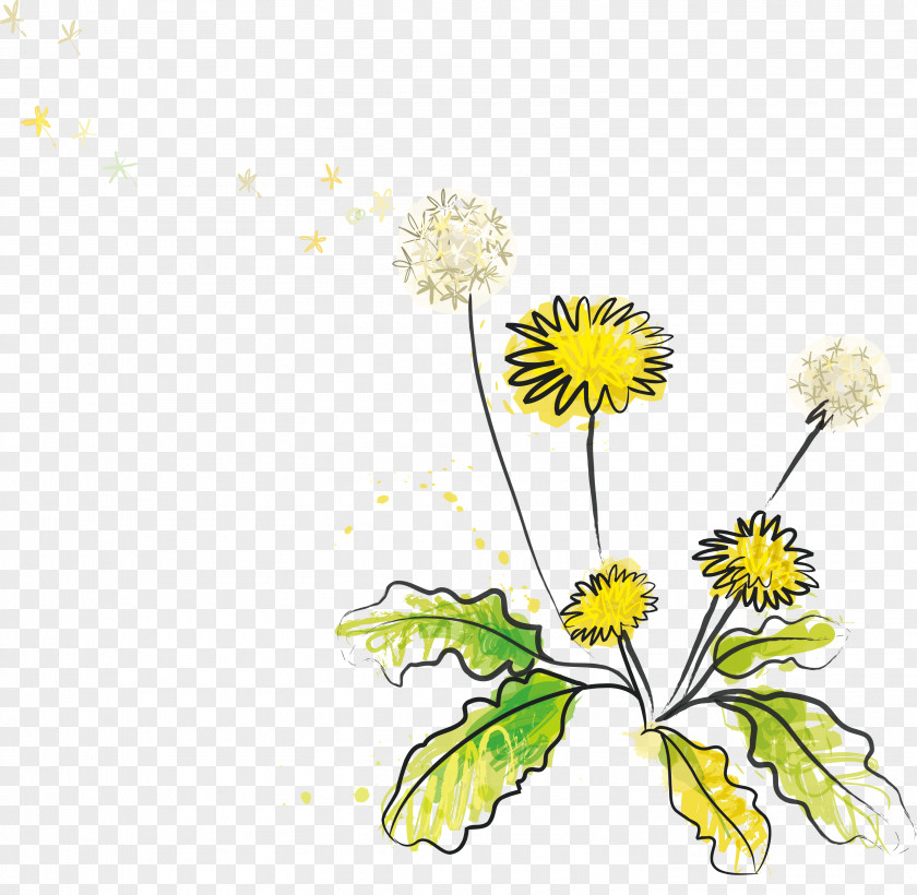 Wildflower Vector Material Euclidean Dandelion Illustration PNG