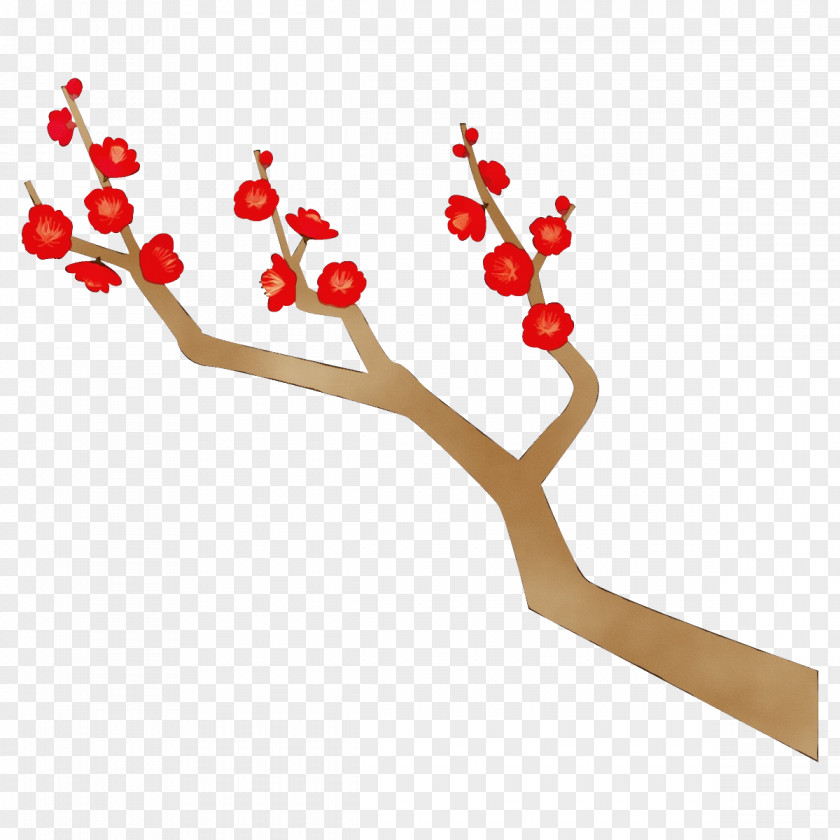 Branch Flower Plant Twig PNG
