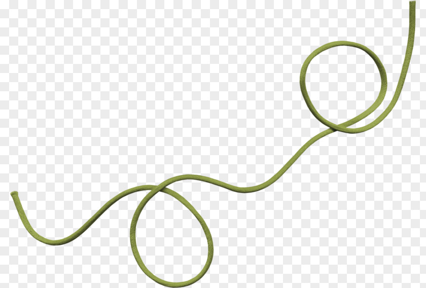 Green Rope Download PNG