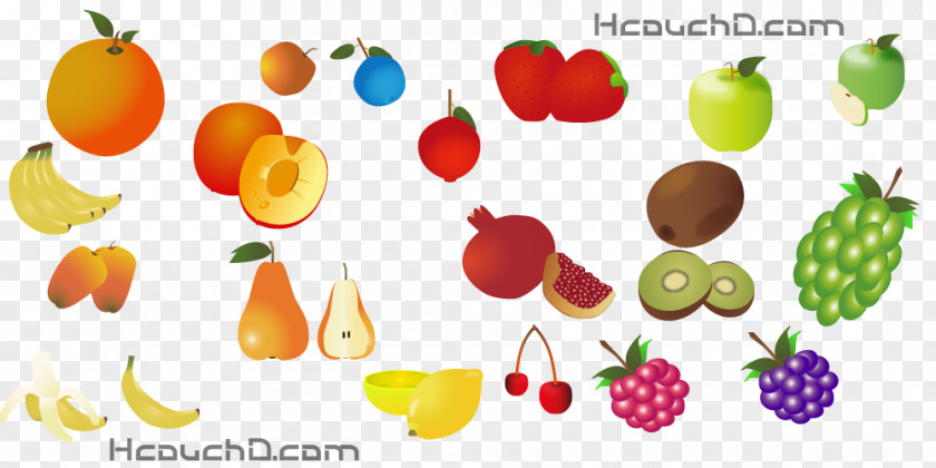 Kinds Vector Fruit Food Cherry Pomegranate PNG