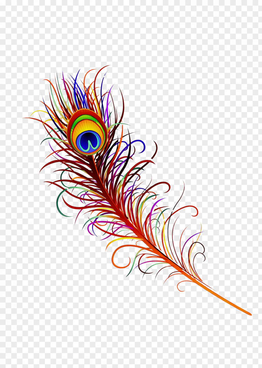 Natural Material Fashion Accessory Feather PNG