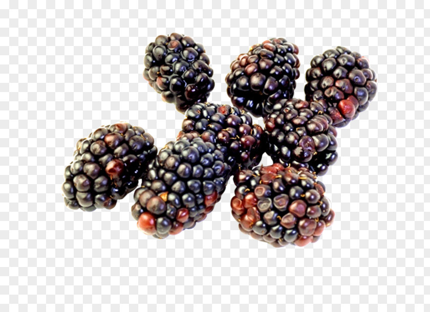 Raspberry Boysenberry Cheesecake Blackberry PNG