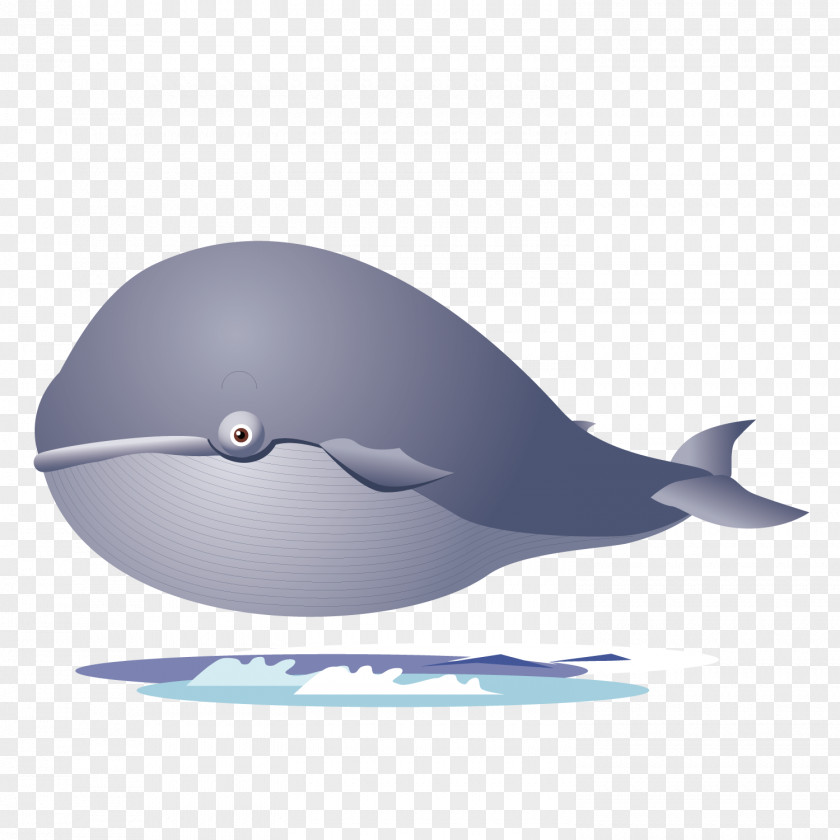 Terrible Shark Porpoise Dolphin PNG