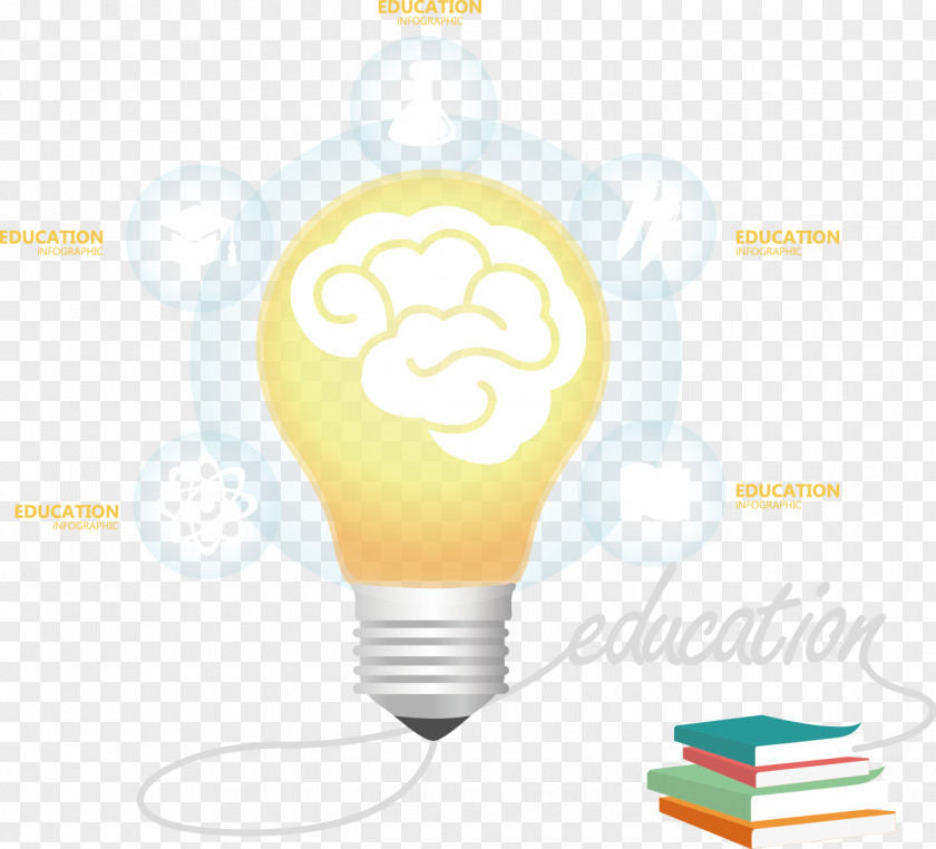 Vector Painted Light Bulb And Brain Euclidean Agy PNG