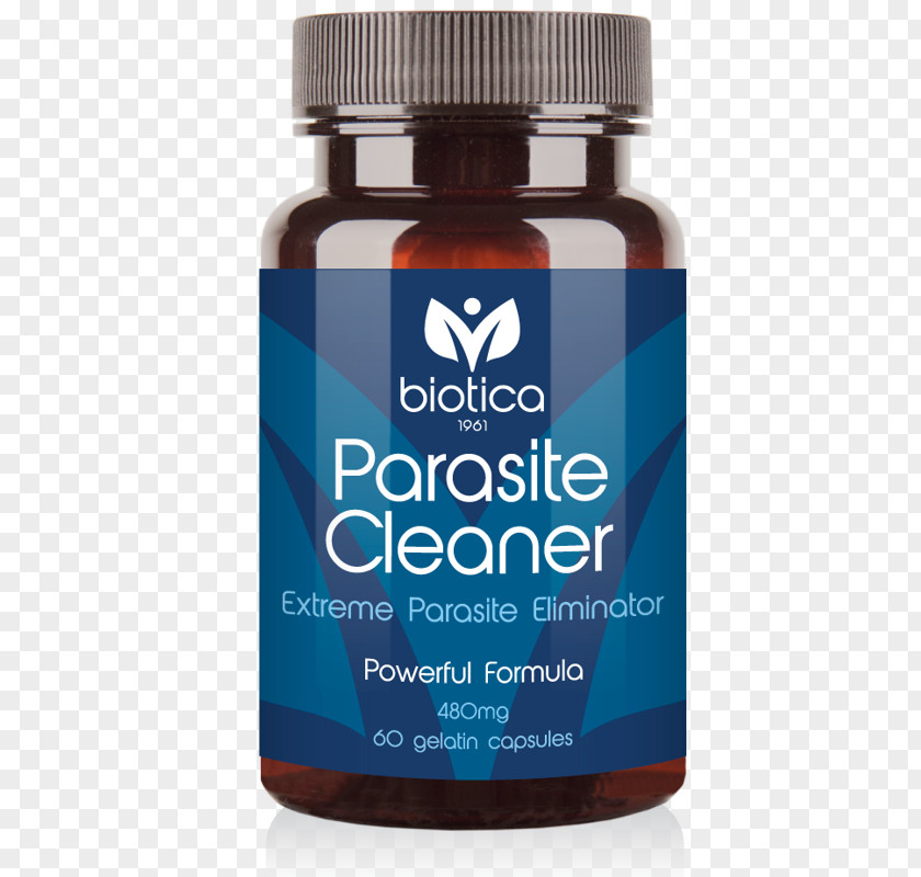 Windows Cleaner Bizkarroi Dietary Supplement Worm Organism Parasitism PNG