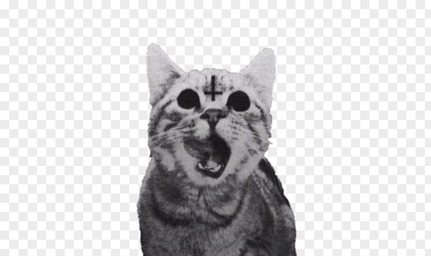 Cat Kitten Lucifer Cross Of Saint Peter Satanism PNG