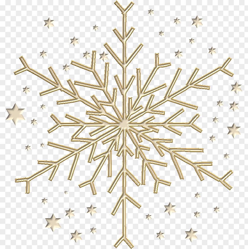Christmas Ornament Star Poinsettia Tree PNG