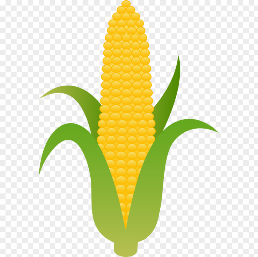 Corn On The Cob Candy Maize Clip Art PNG
