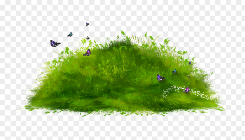 Desktop Wallpaper Clip Art PNG