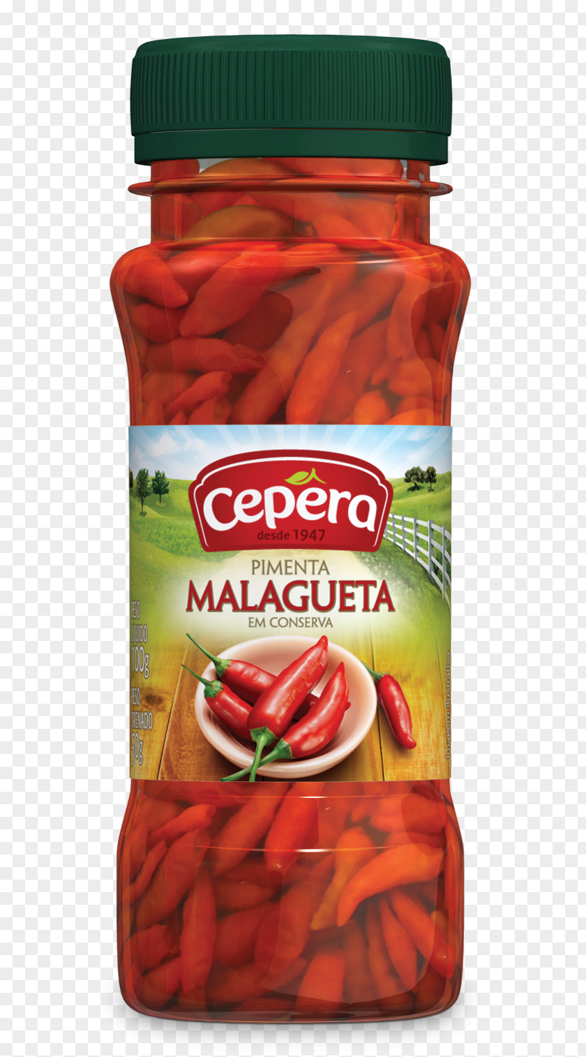 Pepper Malagueta Aframomum Melegueta Food Bell PNG