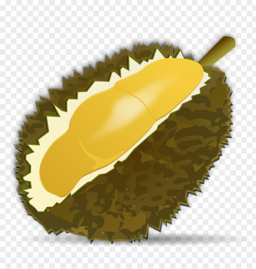 Avocado Durian Clip Art PNG
