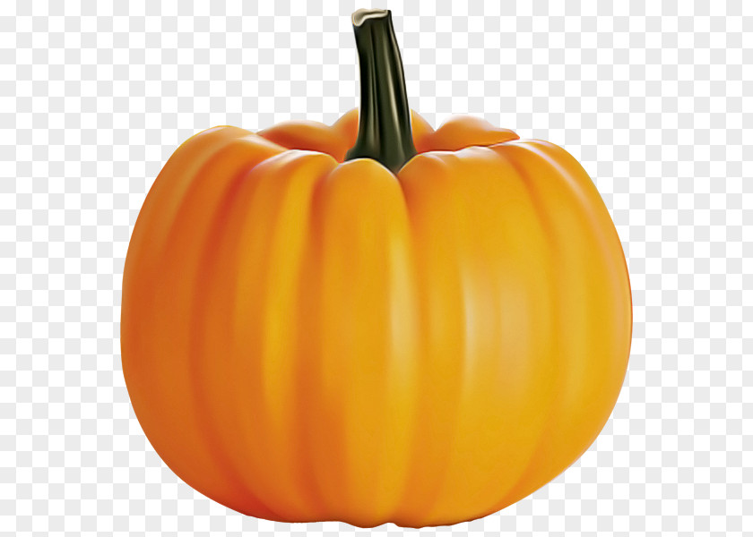 Cucurbita Plant Pumpkin PNG